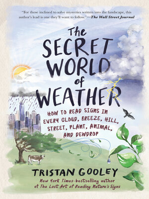 cover image of The Secret World of Weather